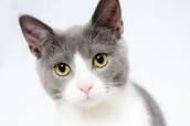 Picture of THIS IS PRODUCT FAMILY TEST!