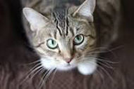 Picture of THIS IS PRODUCT FAMILY TEST!